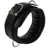 Banoch Collar leash Silver Halsband en Riem Zwart met zilver 987101699 12 scaled scaled