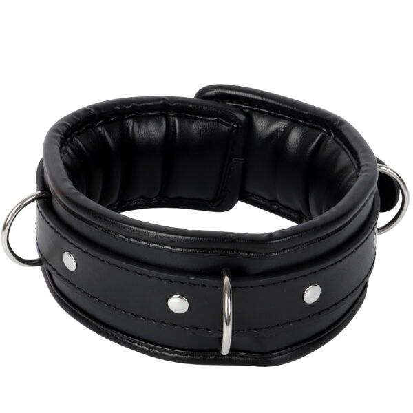 Banoch Collar leash Silver Halsband en Riem Zwart met zilver 987101699 3 scaled scaled Banoch Collar leash Silver Halsband en Riem Zwart met zilver 987101699 3 scaled scaled