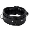 Banoch Collar leash Silver Halsband en Riem Zwart met zilver 987101699 3 scaled scaled