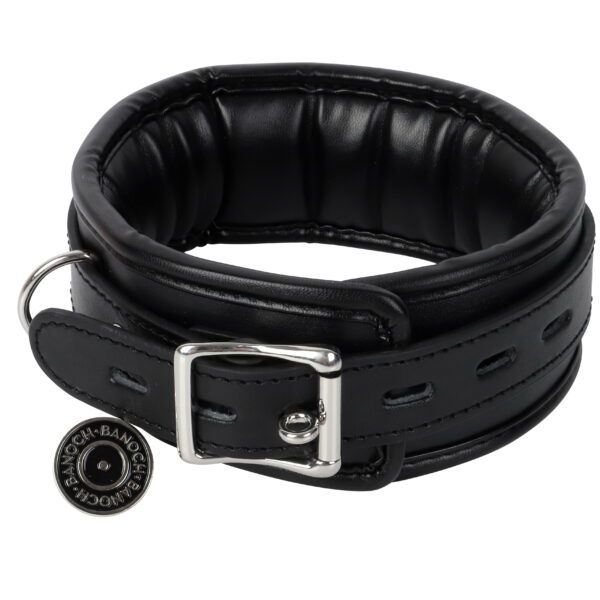 Banoch Collar leash Silver Halsband en Riem Zwart met zilver 987101699 5 scaled scaled Banoch Collar leash Silver Halsband en Riem Zwart met zilver 987101699 5 scaled scaled