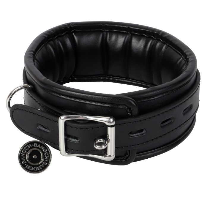 Banoch Collar leash Silver Halsband en Riem Zwart met zilver 987101699 5 scaled scaled