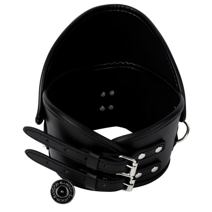 Banoch Posture collar black extra pu leer zwart bdsm 987101792 1 scaled scaled