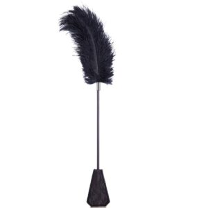 Banoch Rijzweep Veer zwart 50 cm 987102294 1