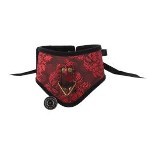 Banoch posture Collar leash Courtesan Red halsband met riem rood bdsm 987101790 1 scaled scaled