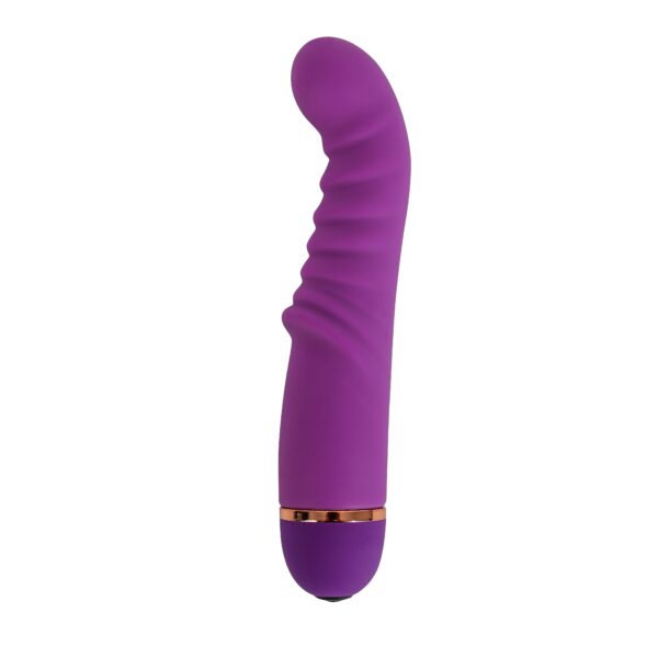 Banoch Vibrator G Buddy Purple Paars siliconen G spot 987102285 scaled scaled