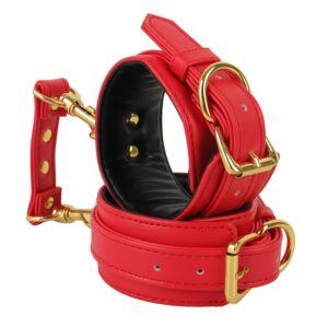 Banoch handboeien van pu leer rood goud bondage 987102334 2 scaled scaled