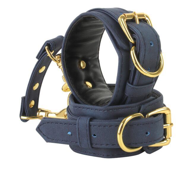 Banoch handboeien van pu leer velvet blauw goud bondage 987102330 3 scaled scaled Banoch handboeien van pu leer velvet blauw goud bondage 987102330 3 scaled scaled