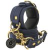 Banoch handboeien van pu leer velvet blauw goud bondage 987102330 6 scaled scaled Banoch handboeien van pu leer velvet blauw goud bondage 987102330 6 scaled scaled