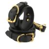 Banoch handboeien van pu leer zwart goud bondage 987102326 1 scaled scaled Banoch handboeien van pu leer zwart goud bondage 987102326 1 scaled scaled