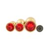 Banoch 3 maten gouden metalen Buttpluggen met rode Diamant maat smallmedium large. Aurora scaled scaled