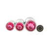 Banoch 3 maten zilveren metalen Buttpluggen met hard roze Diamant maat smallmedium large. Aurora scaled scaled