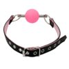 Banoch Ballgag Pink Luxe Siliconen Roze bondage 4 scaled scaled