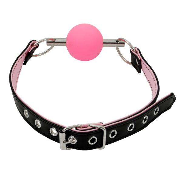Banoch Ballgag Pink Luxe Siliconen Roze bondage 4 scaled scaled