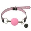 Banoch Ballgag Pink Luxe Siliconen Roze bondage 5 scaled scaled