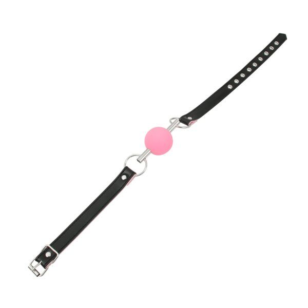 Banoch Ballgag Pink Luxe Siliconen Roze bondage 6 scaled scaled