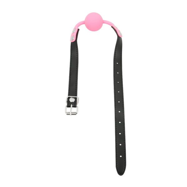Banoch Ballgag siliconen met verstelbare band Roze Bal ∅ 4 cm bondage 1 scaled scaled