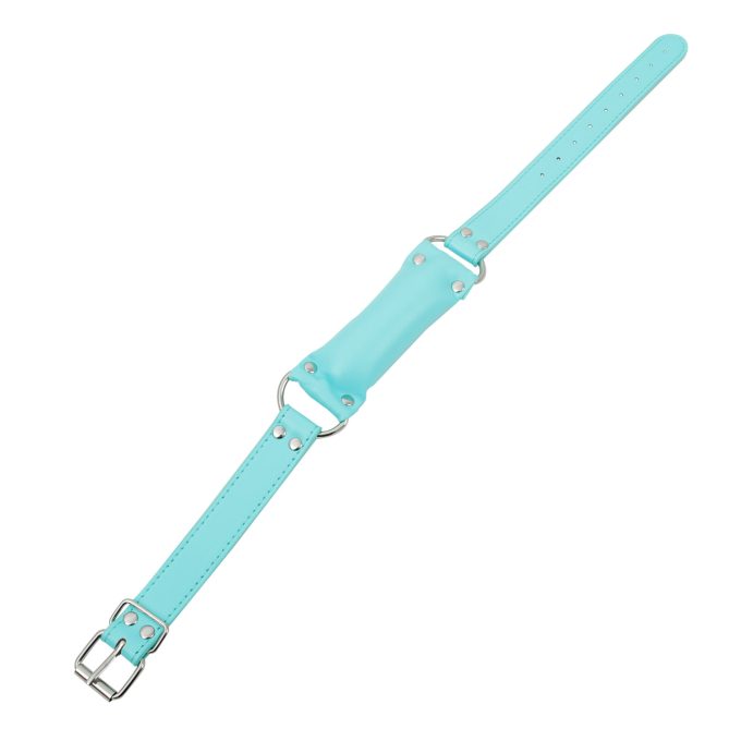 Banoch Bit gag soft straight blue bitgag van imitatieleer blauw 1 scaled scaled