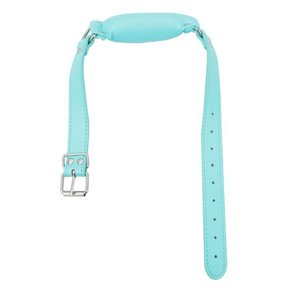 Banoch Bit gag soft straight blue bitgag van imitatieleer blauw 2 scaled scaled