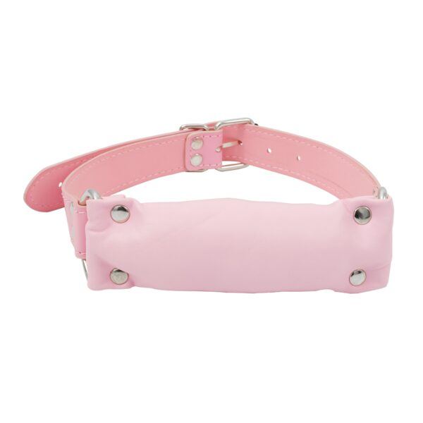 Banoch Bit gag soft straight pink bitgag van imitatieleer roze 4 scaled scaled Banoch Bit gag soft straight pink bitgag van imitatieleer roze 4 scaled scaled