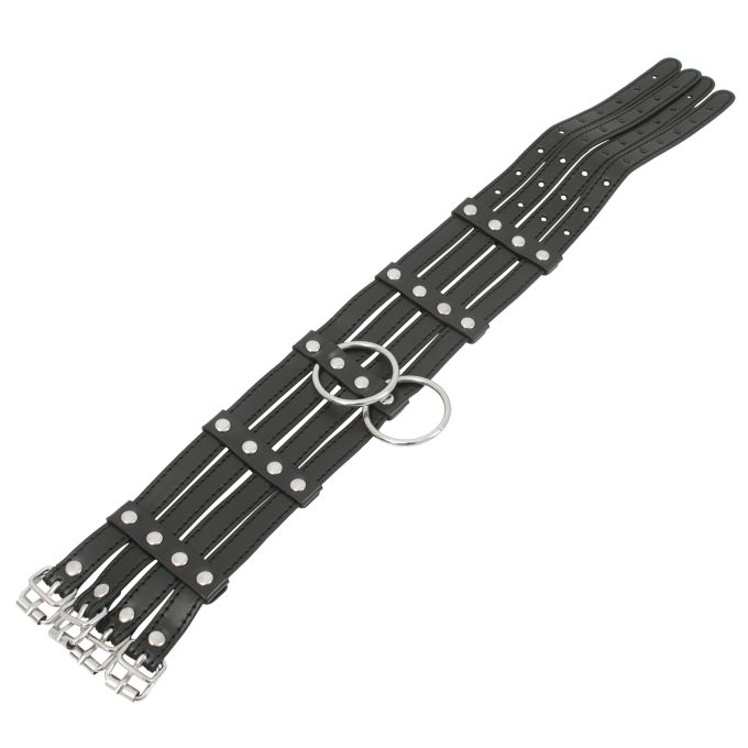 Banoch Collar Leash Flamboyante Black zwarte pu leren halsband met riem bdsm 1 scaled scaled