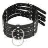 Banoch Collar Leash Flamboyante Black zwarte pu leren halsband met riem bdsm 3 scaled scaled
