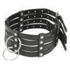 Banoch Collar Leash Flamboyante Black zwarte pu leren halsband met riem bdsm 4 scaled scaled