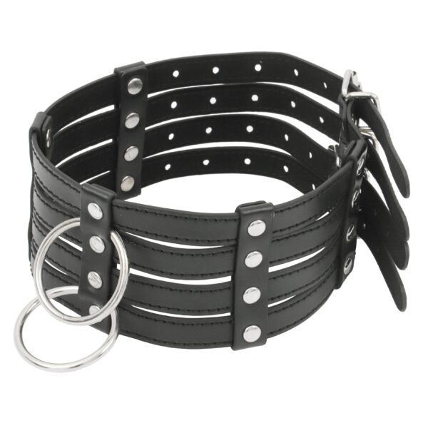 Banoch Collar Leash Flamboyante Black zwarte pu leren halsband met riem bdsm 4 scaled scaled