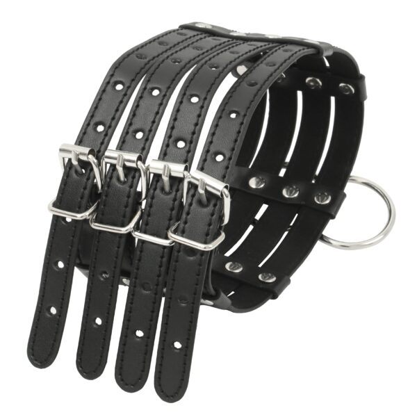 Banoch Collar Leash Flamboyante Black zwarte pu leren halsband met riem bdsm 5 scaled scaled
