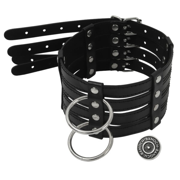 Banoch Collar Leash Flamboyante Black zwarte pu leren halsband met riem bdsm 9 scaled scaled