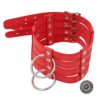 Banoch Collar Leash Flamboyante Red rode pu leren halsband met riem bdsm 11 scaled scaled