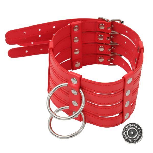 Banoch Collar Leash Flamboyante Red rode pu leren halsband met riem bdsm 11 scaled scaled