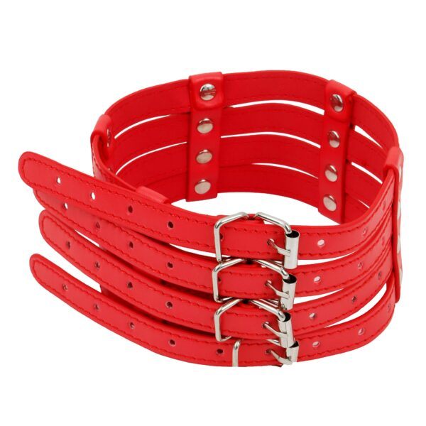 Banoch Collar Leash Flamboyante Red rode pu leren halsband met riem bdsm 5 scaled scaled