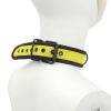 Banoch Lindo Collar Amorillo Neoprene halsband geel neopreen puppy play 4 scaled scaled Banoch Lindo Collar Amorillo Neoprene halsband geel neopreen puppy play 4 scaled scaled