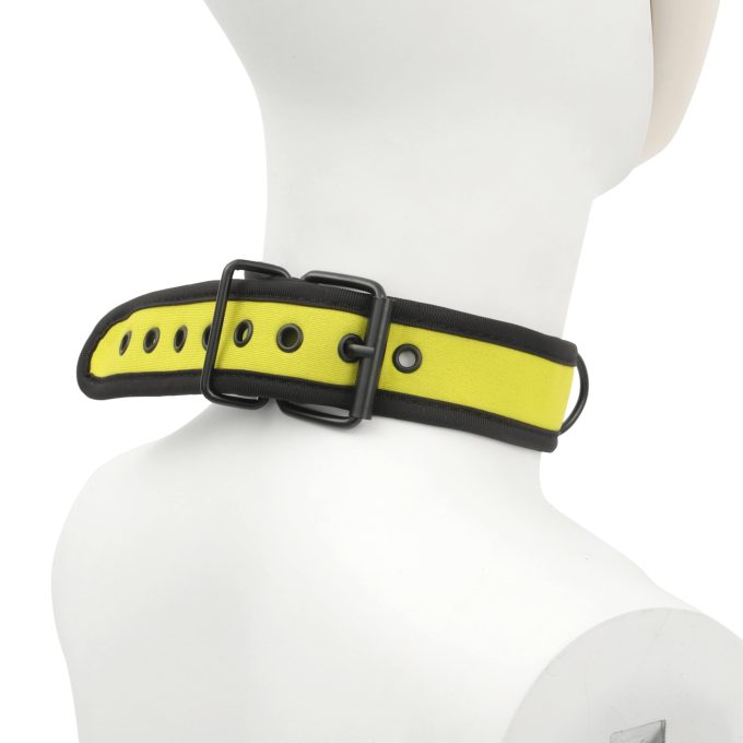 Banoch Lindo Collar Amorillo Neoprene halsband geel neopreen puppy play 4 scaled scaled Banoch Lindo Collar Amorillo Neoprene halsband geel neopreen puppy play 4 scaled scaled