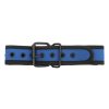 Banoch Lindo Collar Azul Neoprene halsband blauw neopreen puppy play 2 scaled scaled