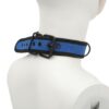 Banoch Lindo Collar Azul Neoprene halsband blauw neopreen puppy play 4 scaled scaled