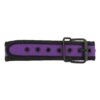Banoch Lindo Collar Morado Neoprene halsband paars neopreen puppy play 2 scaled scaled Banoch Lindo Collar Morado Neoprene halsband paars neopreen puppy play 2 scaled scaled