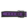 Banoch Lindo Collar Morado Neoprene halsband paars neopreen puppy play 2 scaled scaled