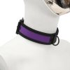 Banoch Lindo Collar Morado Neoprene halsband paars neopreen puppy play 3 scaled scaled