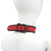 Banoch Lindo Collar Rojo Neoprene halsband rood neopreen puppy play 3 scaled scaled
