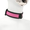 Banoch Lindo Collar Rosa Neoprene halsband roze neopreen puppy play 4 scaled scaled