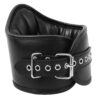 Banoch Posture collar classic zwarte posture collar met riem bdsm 3 scaled scaled