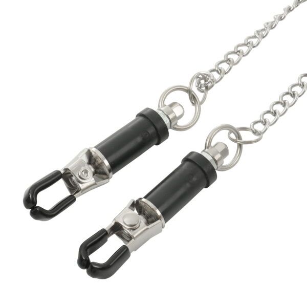 Pinch Pinces de F. Tepelklem verstelbaar ketting 2 scaled scaled