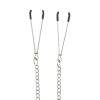 Pinch Pinces de H. Tepelklem verstelbaar ketting 4 scaled scaled