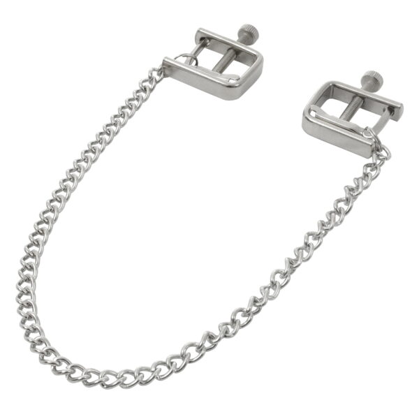 Pinch Pinces de K. Tepelklem verstelbaar ketting 1 scaled scaled