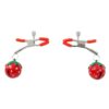 Pinch Tepelklemmen Pince des Fraises small Verstelbaar Aardbei motief 2 scaled scaled