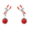 Pinch Tepelklemmen Pince des Fraises small Verstelbaar Aardbei motief 6 scaled scaled