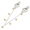 Pinch Tepelklemmen Pinces boules dOr2 Ketting Balletjes 2 scaled scaled