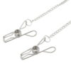Pinch Tepelklemmen Pinces de Z. Ketting Wasknijper Stijl 1 scaled scaled