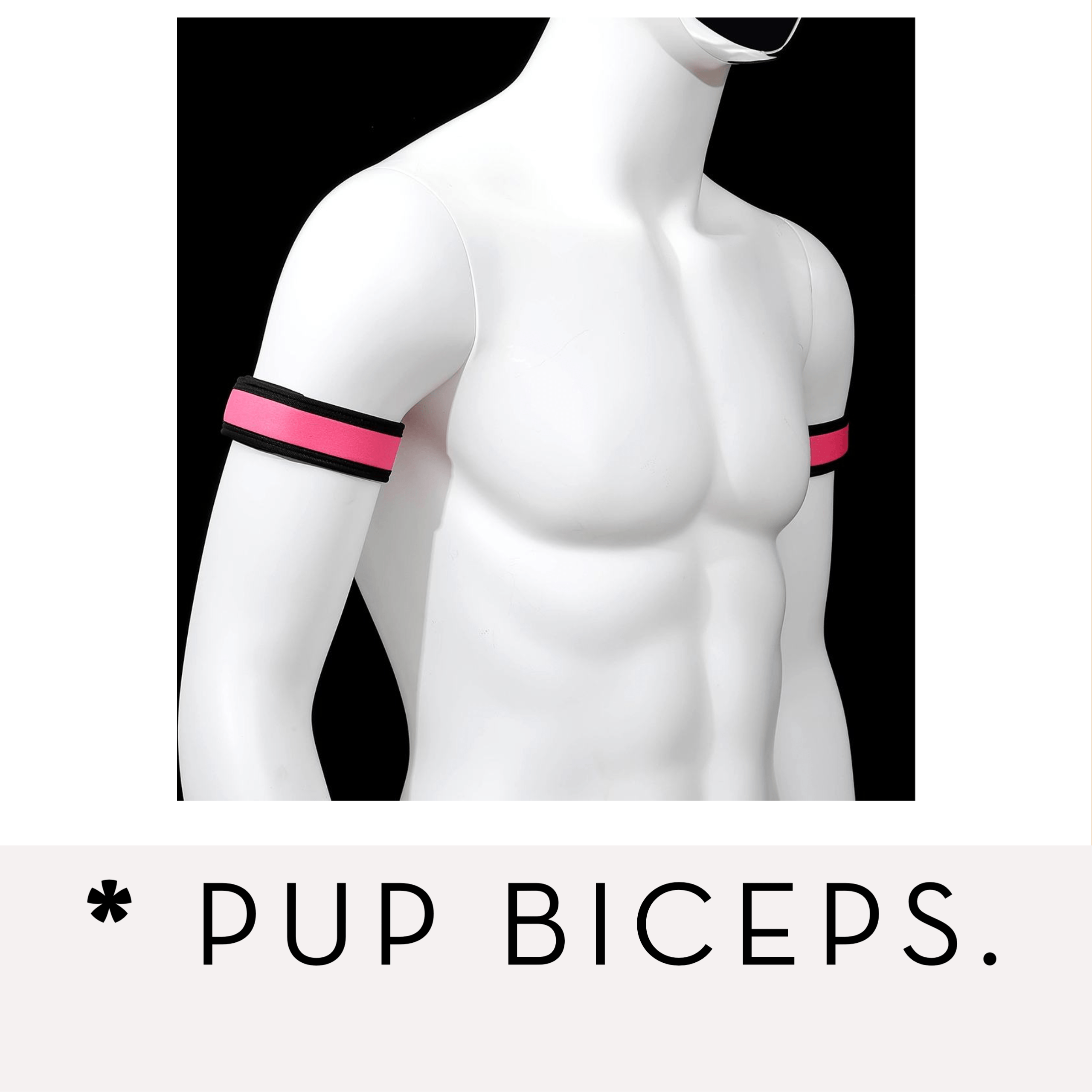Banoch Banner categorie pup biceps